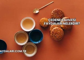 Çedene Kahvesi Faydaları Nelerdir?