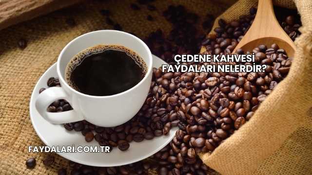 Çedene Kahvesi Faydaları Nelerdir?