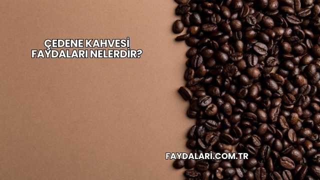 Çedene Kahvesi Faydaları Nelerdir?