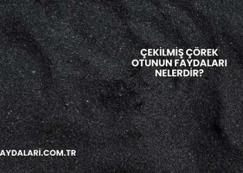 Çekilmiş Çörek Otunun Faydaları Nelerdir?