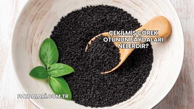 Çekilmiş Çörek Otunun Faydaları Nelerdir?