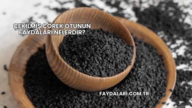Çekilmiş Çörek Otunun Faydaları Nelerdir?