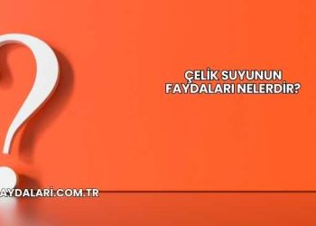 Çelik Suyunun Faydaları Nelerdir?
