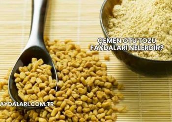 Çemen Otu Tozu Faydaları Nelerdir?