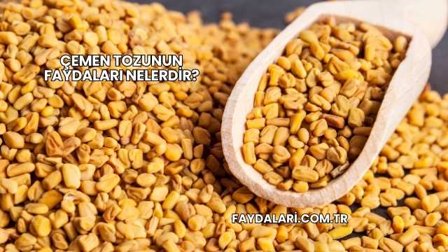 Çemen Tozunun Faydaları Nelerdir?