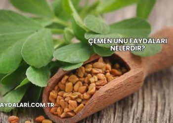 Çemen Unu Faydaları Nelerdir?