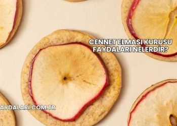 Cennet Elması Kurusu Faydaları Nelerdir?