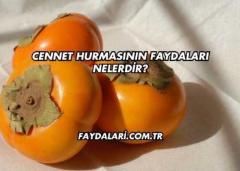Cennet Hurmasının Faydaları Nelerdir?