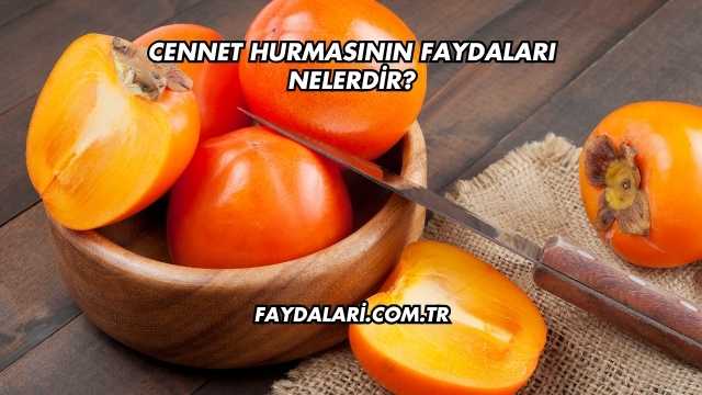 Cennet Hurmasının Faydaları Nelerdir?