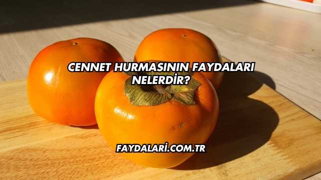 Cennet Hurmasının Faydaları Nelerdir?