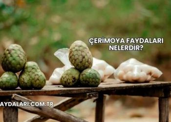 Çerimoya Faydaları Nelerdir?