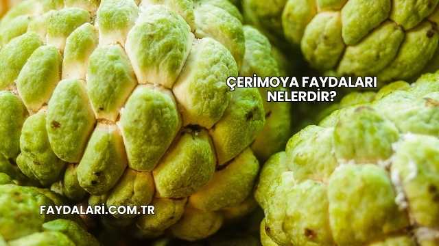 Çerimoya Faydaları Nelerdir?