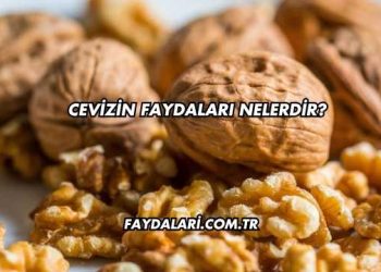 Cevizin Faydaları Nelerdir?
