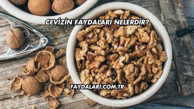 Cevizin Faydaları Nelerdir?