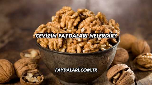 Cevizin Faydaları Nelerdir?