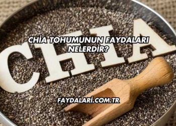 Chia Tohumunun Faydaları Nelerdir?