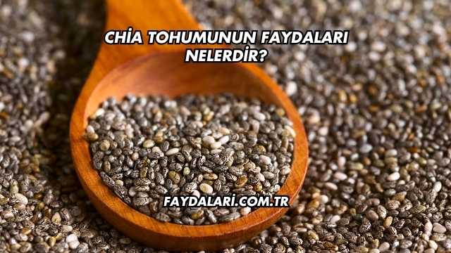 Chia Tohumunun Faydaları Nelerdir?