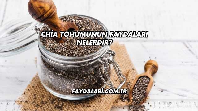 Chia Tohumunun Faydaları Nelerdir?