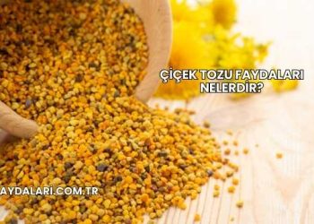 Çiçek Tozu Faydaları Nelerdir?