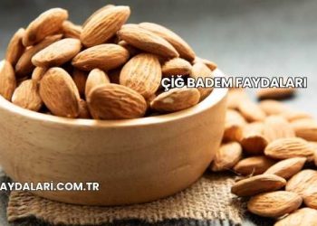Çiğ Badem Faydaları