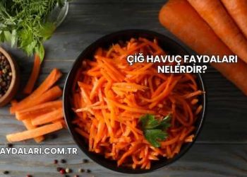 Çiğ Havuç Faydaları Nelerdir?