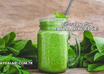 Çiğ Ispanağın Faydaları Nelerdir?