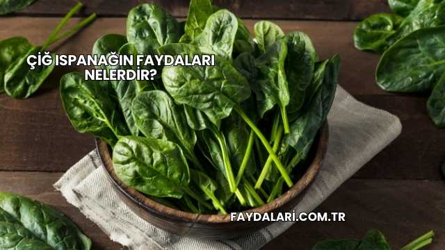 Çiğ Ispanağın Faydaları Nelerdir?