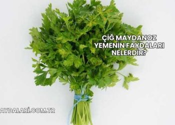 Çiğ Maydanoz Yemenin Faydaları Nelerdir?