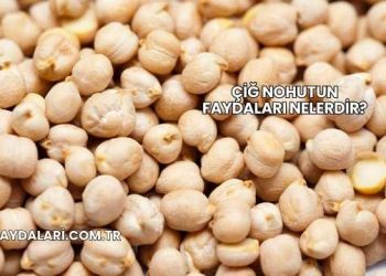 Çiğ Nohutun Faydaları Nelerdir?
