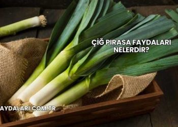 Çiğ Pırasa Faydaları Nelerdir?