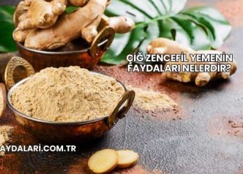 Çiğ Zencefil Yemenin Faydaları Nelerdir?