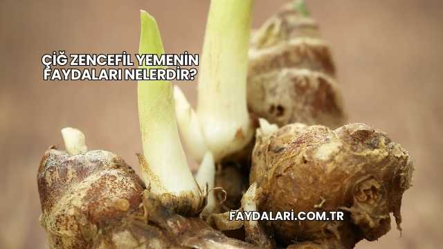 Çiğ Zencefil Yemenin Faydaları Nelerdir?