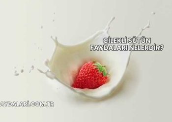 Çilekli Sütün Faydaları Nelerdir?