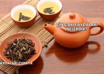 Çin Çayı Faydaları Nelerdir?