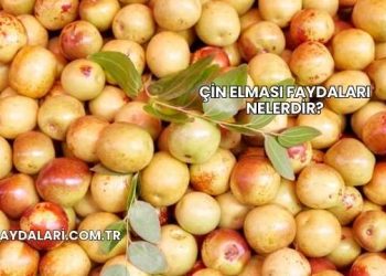 Çin Elması Faydaları Nelerdir?
