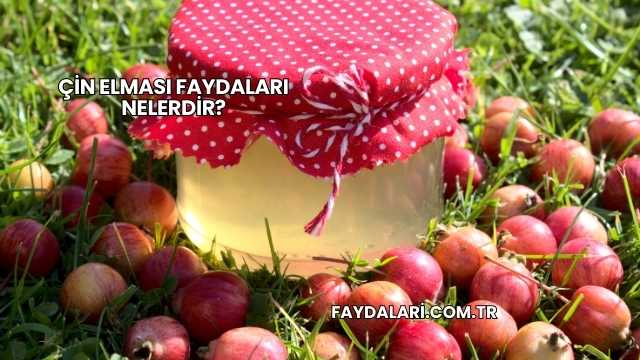 Çin Elması Faydaları Nelerdir?
