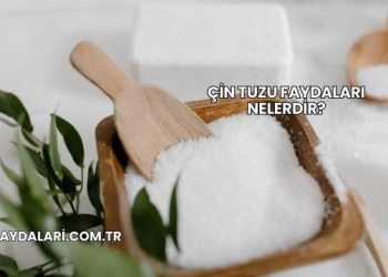 Çin Tuzu Faydaları Nelerdir?