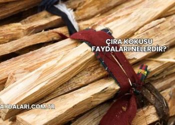 Çıra Kokusu Faydaları Nelerdir?