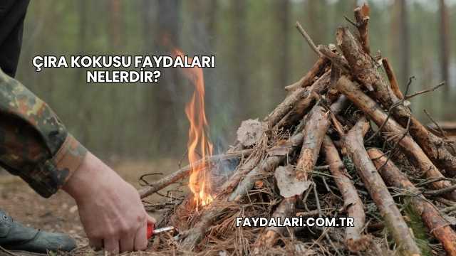 Çıra Kokusu Faydaları Nelerdir?
