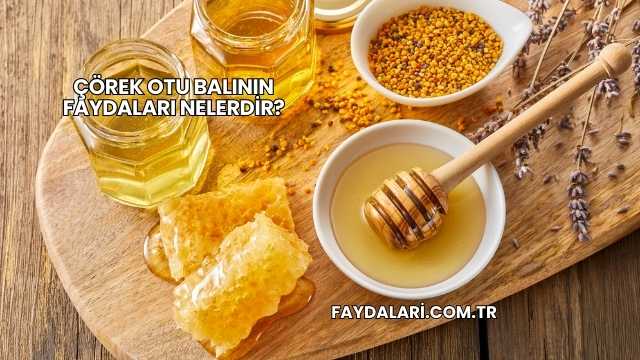 Çörek Otu Balının Faydaları Nelerdir?