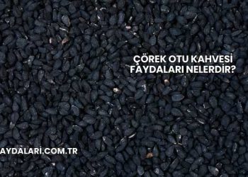 Çörek Otu Kahvesi Faydaları Nelerdir?