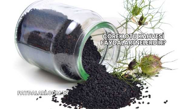 Çörek Otu Kahvesi Faydaları Nelerdir?