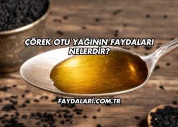 Çörek Otu Yağının Faydaları Nelerdir?