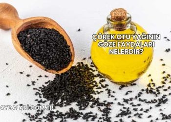 Çörek Otu Yağının Göze Faydaları Nelerdir?