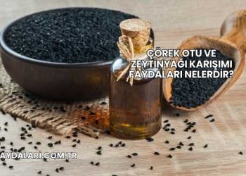 Çörek Otu ve Zeytinyağı Karışımı Faydaları Nelerdir?