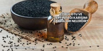 Çörek Otu ve Zeytinyağı Karışımı Faydaları Nelerdir?