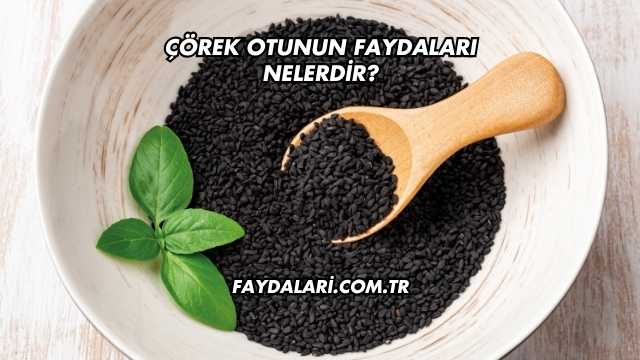 Çörek Otunun Faydaları Nelerdir?