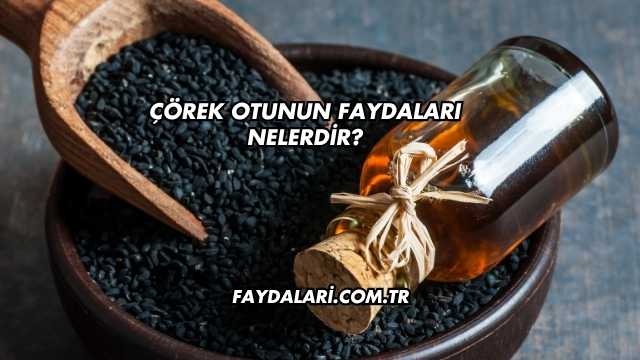 Çörek Otunun Faydaları Nelerdir?