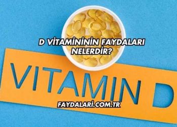 D Vitamininin Faydaları Nelerdir?