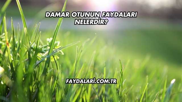Damar Otunun Faydaları Nelerdir?